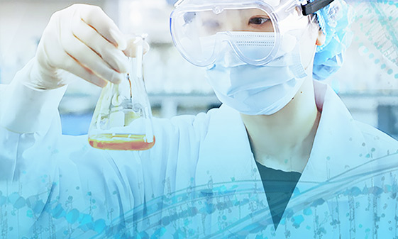 我們的研發(fā)領(lǐng)域