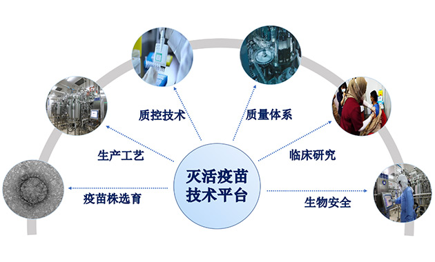 滅活疫苗技術(shù)平臺(tái)