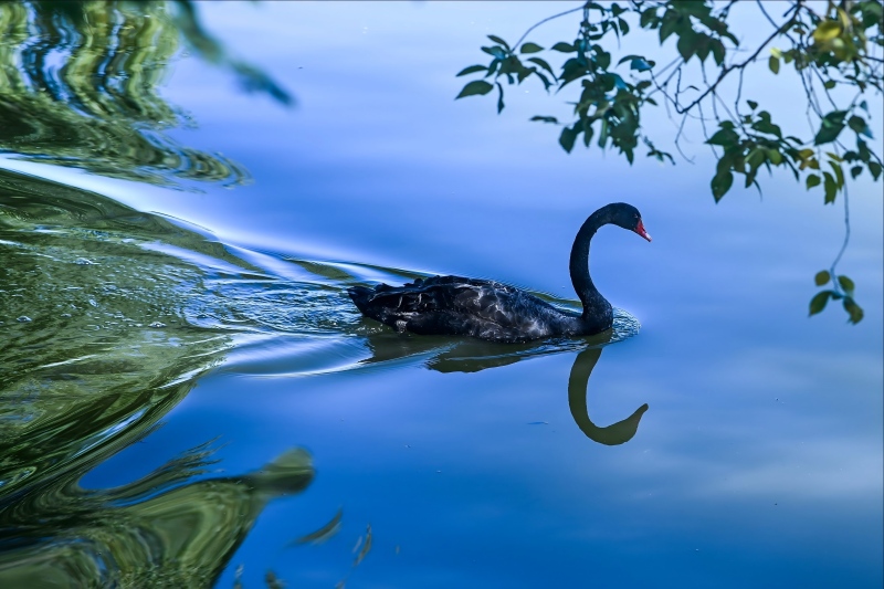 暖心工“匯”│“微光成炬 美在尋?！毕盗姓共ア? />
                                    </div></a>
                                    <div   id=