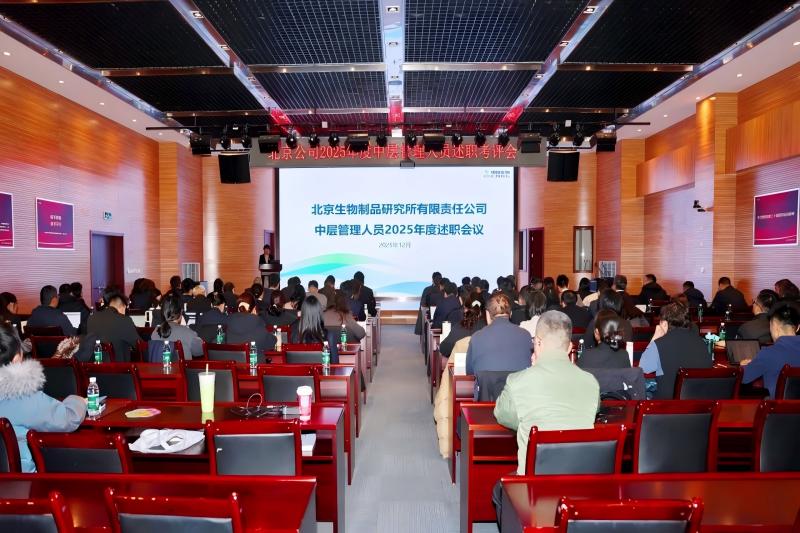 述實(shí)績(jī) 凝合力 顯擔(dān)當(dāng)